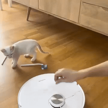 Aspiradora Robotica + Cepillo a Vapor para mascotas
